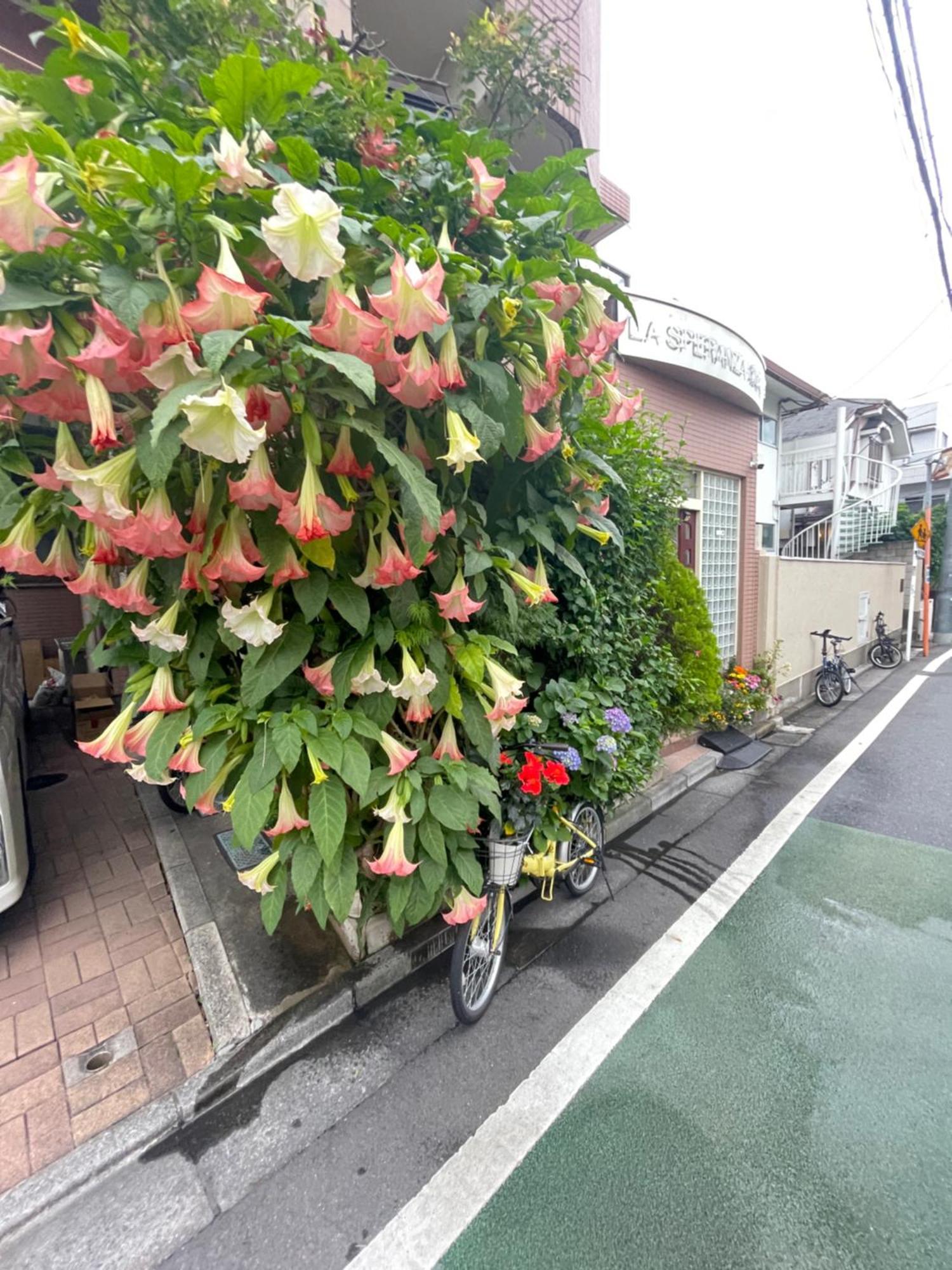 新宿庭院の屋-Shinjuku Garden Home -28 Square Meters King Size Bed Garden Room Токио Экстерьер фото